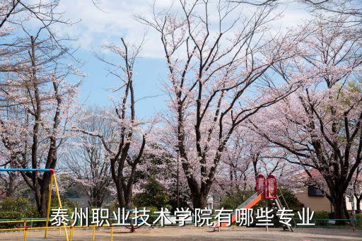  泰州職業(yè)技術學院有哪些專業(yè)