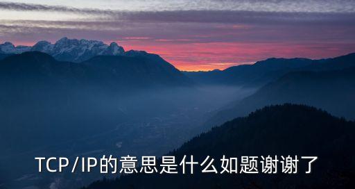 TCP/IP的意思是什么如題謝謝了