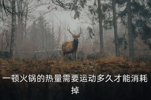 一頓火鍋的熱量需要運(yùn)動(dòng)多久才能消耗掉