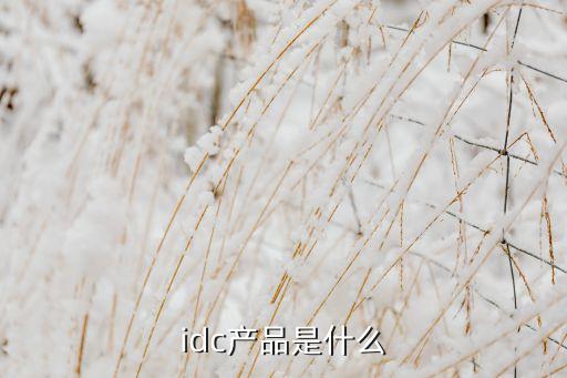 大數(shù)據(jù)中心機(jī)房服務(wù)器,數(shù)據(jù)中心機(jī)房服務(wù)器為什么不用接地線