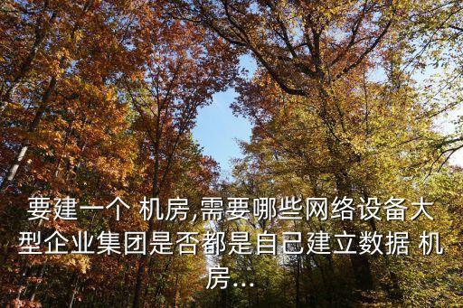 要建一個 機(jī)房,需要哪些網(wǎng)絡(luò)設(shè)備大型企業(yè)集團(tuán)是否都是自己建立數(shù)據(jù) 機(jī)房...