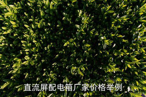 直流屏配電箱廠家價(jià)格舉例