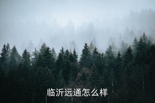 臨沂遠(yuǎn)通怎么樣