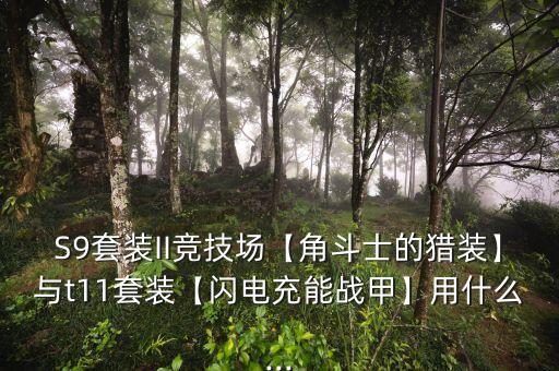 S9套裝II競技場【角斗士的獵裝】與t11套裝【閃電充能戰(zhàn)甲】用什么...