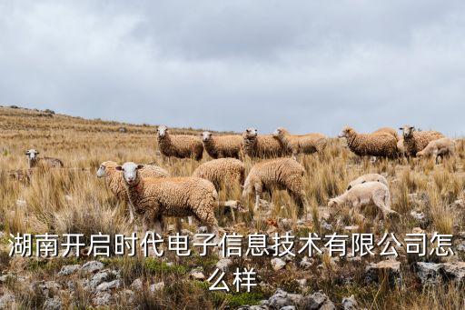 湖南開啟時代電子信息技術有限公司怎么樣