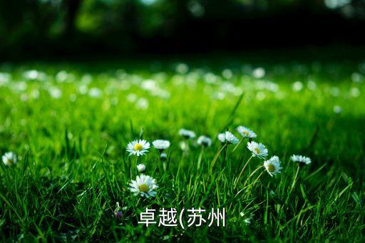 高大尚的自動化公司標(biāo)語,自動化公司取什么名字寓意好的公司