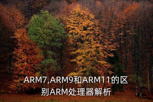 arm的數(shù)據(jù)類型,直接支持的數(shù)據(jù)類型有哪些?一文看懂!