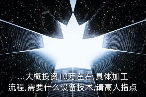 ...大概投資10萬左右,具體加工流程,需要什么設備技術,請高人指點