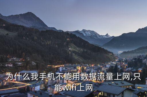 開了移動(dòng)數(shù)據(jù)就連不了wifi,手機(jī)怎么連不上wifi?