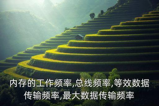 內(nèi)存的工作頻率,總線頻率,等效數(shù)據(jù)傳輸頻率,最大數(shù)據(jù)傳輸頻率