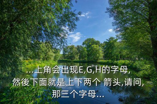 數(shù)據(jù)信號(hào)為G 上網(wǎng)雙箭頭為E
