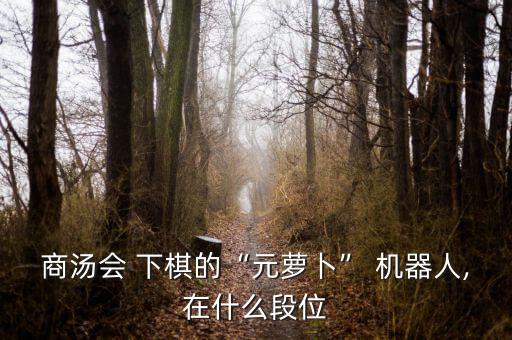 商湯會(huì) 下棋的“元蘿卜” 機(jī)器人,在什么段位