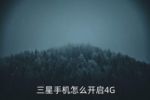 三星4g 3g數(shù)據(jù)設置應用