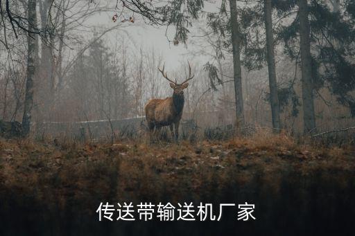 傳送帶輸送機廠家