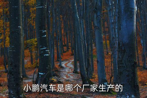 小鵬汽車是哪個廠家生產的