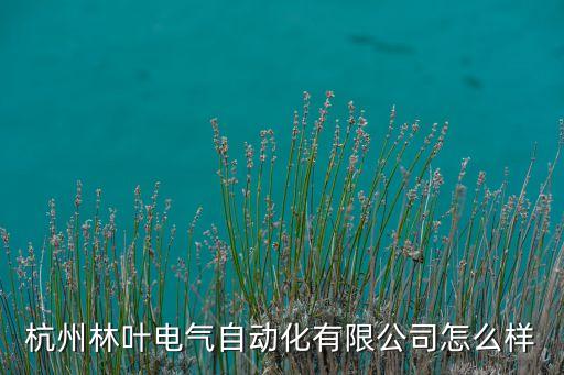 杭州林葉電氣自動(dòng)化有限公司怎么樣