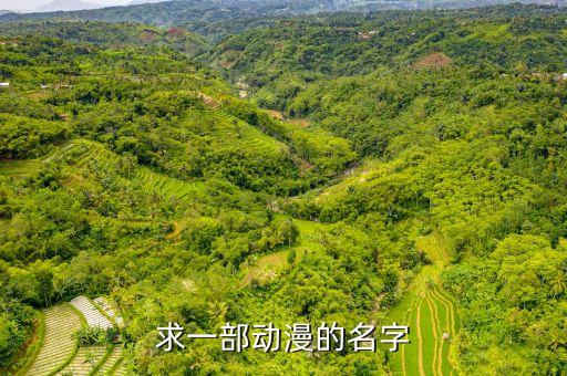 求一部動漫的名字