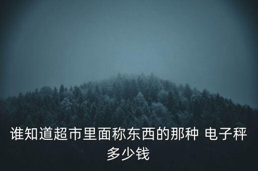 誰知道超市里面稱東西的那種 電子秤多少錢