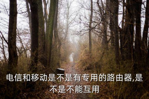 電信和移動(dòng)是不是有專用的路由器,是不是不能互用
