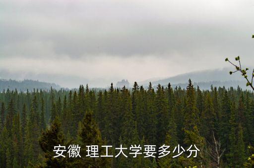 安徽 理工大學(xué)要多少分