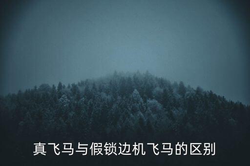 真飛馬與假鎖邊機(jī)飛馬的區(qū)別
