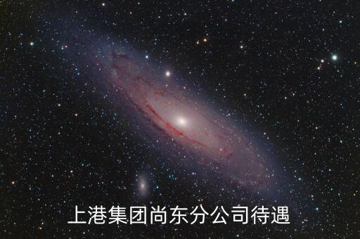 上港集團尚東分公司待遇