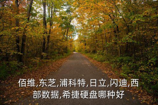 西部數(shù)據(jù)閃迪工作,閃迪和西部數(shù)據(jù)哪個(gè)好?