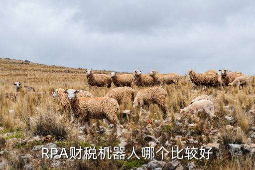 RPA財稅機器人哪個比較好