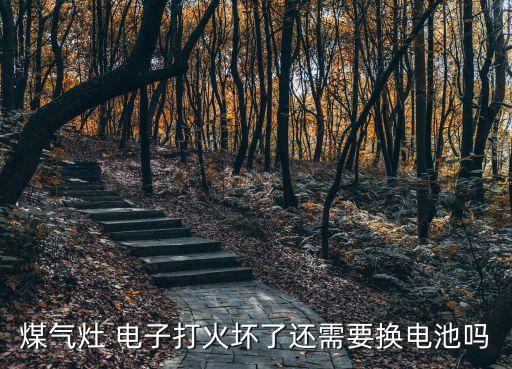 煤氣灶 電子打火壞了還需要換電池嗎