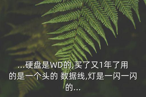 ...硬盤是WD的,買了又1年了用的是一個頭的 數(shù)據(jù)線,燈是一閃一閃的...