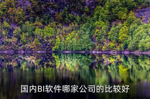 觀遠(yuǎn)數(shù)據(jù)科技有限公司,數(shù)據(jù)觀(北京)傳媒科技有限公司