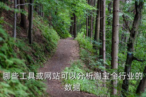 淘寶購物大數(shù)據(jù)分析,淘寶大數(shù)據(jù)分析
