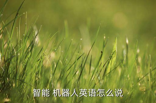 智能 機(jī)器人英語怎么說