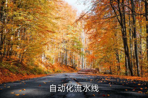 棗莊自動化輸送設(shè)備,自動化流水線與非標(biāo)設(shè)備的區(qū)別