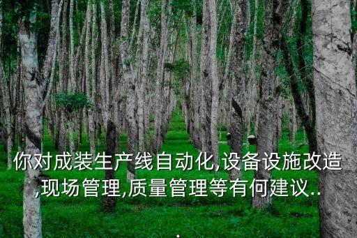 你對成裝生產(chǎn)線自動化,設(shè)備設(shè)施改造,現(xiàn)場管理,質(zhì)量管理等有何建議...