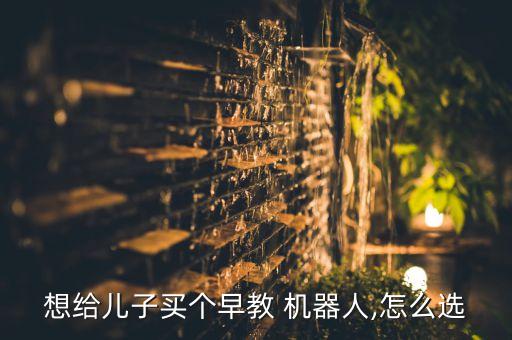 想給兒子買個早教 機器人,怎么選