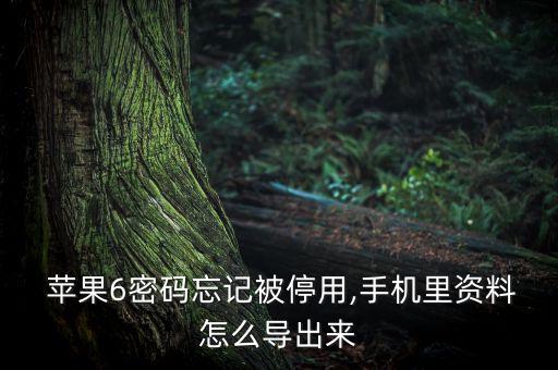 蘋果6 dfu 數(shù)據(jù),dfu模式可以導(dǎo)出蘋果數(shù)據(jù)嗎