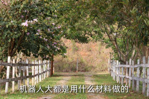 機(jī)器人大都是用什么材料做的