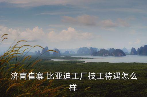濟(jì)南比亞迪電氣自動(dòng)化怎么樣
