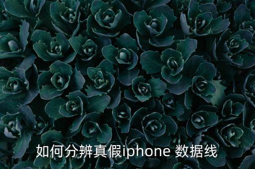 蘋(píng)果8數(shù)據(jù)線鑒定,蘋(píng)果數(shù)據(jù)線鑒定真假序列號(hào)