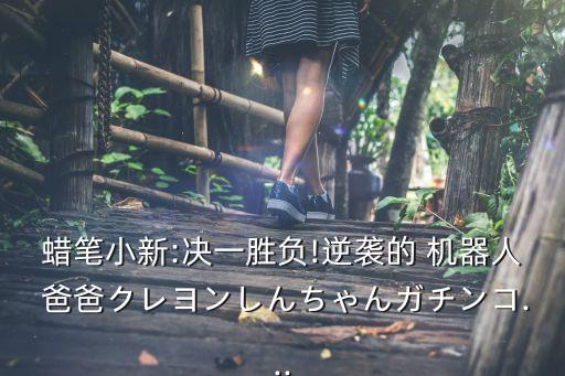 蠟筆小新:決一勝負(fù)!逆襲的 機(jī)器人 爸爸クレヨンしんちゃんガチンコ...