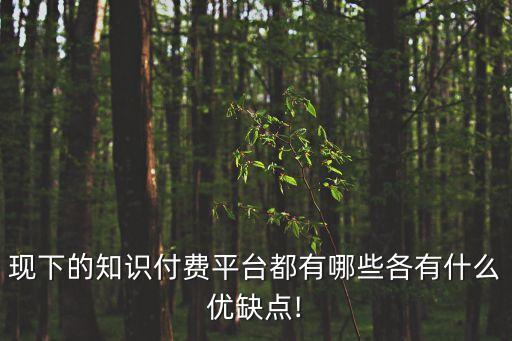 現(xiàn)下的知識付費(fèi)平臺都有哪些各有什么優(yōu)缺點(diǎn)!