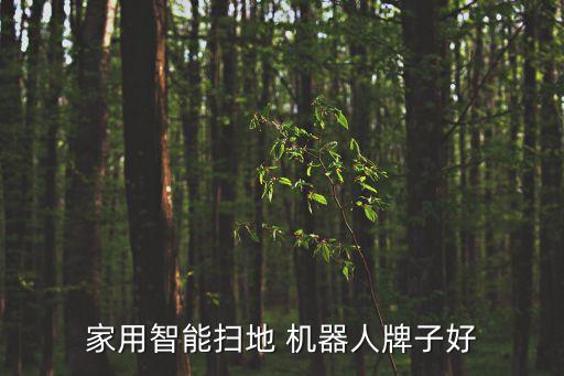 能掃能拖地機器人,掃拖地機器人排名前十的產(chǎn)品