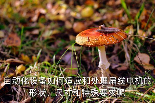 自動化設(shè)備如何適應(yīng)和處理扁線電機的形狀、尺寸和特殊要求呢