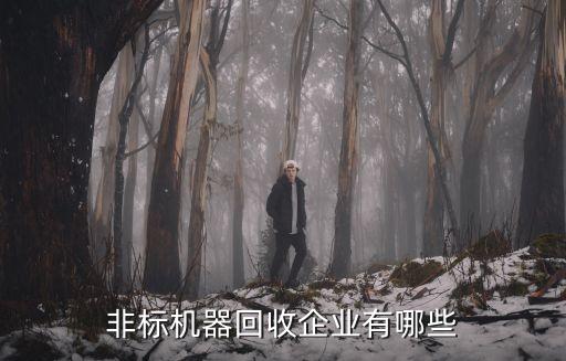 非標(biāo)機(jī)器回收企業(yè)有哪些