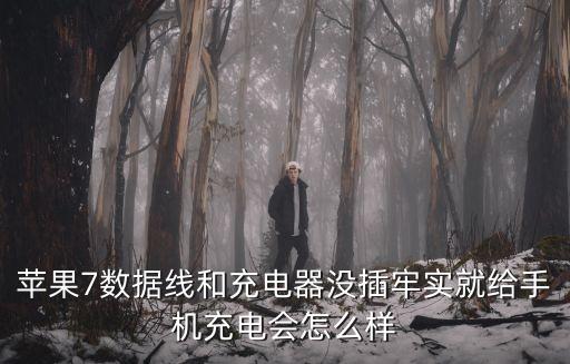 蘋果7數(shù)據(jù)線和充電器沒插牢實(shí)就給手機(jī)充電會(huì)怎么樣