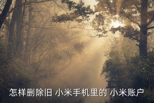 怎樣刪除舊 小米手機(jī)里的 小米賬戶
