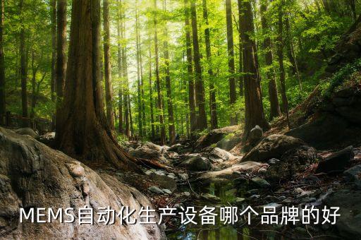 MEMS自動化生產(chǎn)設(shè)備哪個品牌的好
