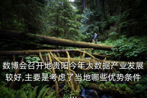數(shù)博會召開地貴陽今年大數(shù)據(jù)產(chǎn)業(yè)發(fā)展較好,主要是考慮了當?shù)啬男﹥?yōu)勢條件...