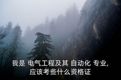 我是 電氣工程及其 自動化 專業(yè),應(yīng)該考些什么資格證